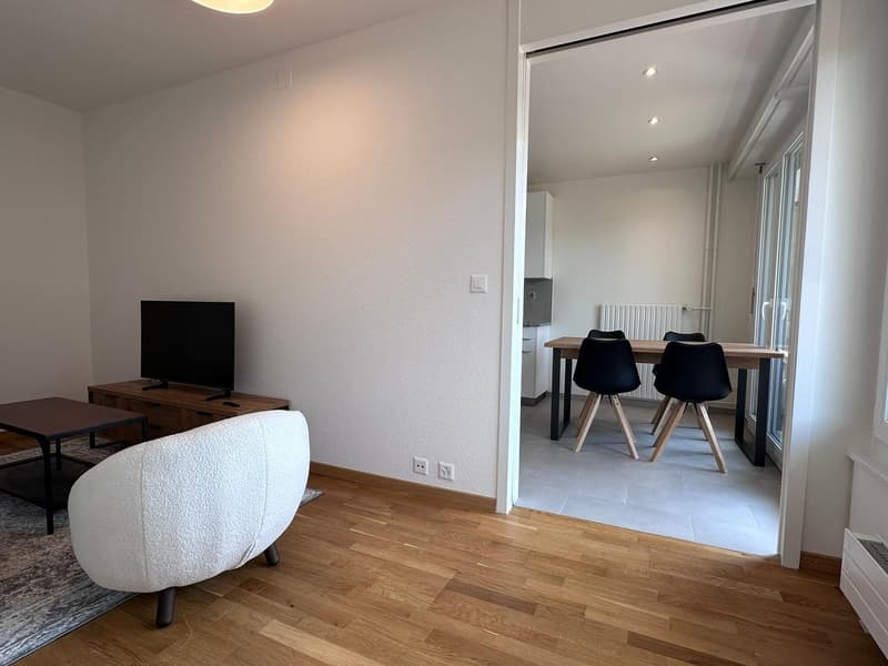 Coliving Spacieux entre Ville et Nature à Thônex (5)