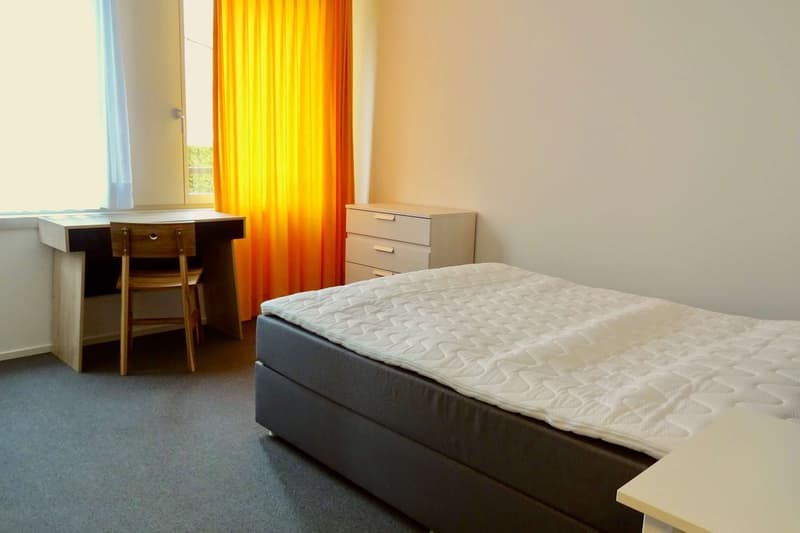 Stilvoll möbliertes Community Studio in Zürich Seebach (3)