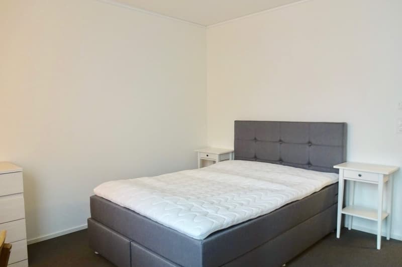 Stilvoll möbliertes Community Studio in Zürich Seebach (2)