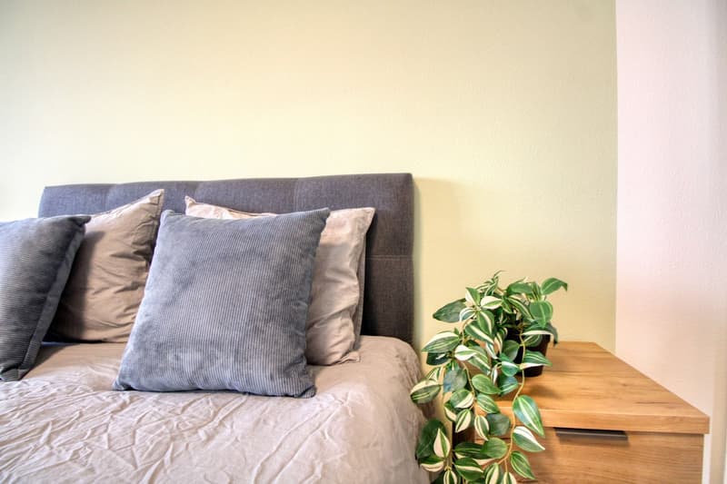 Un Appartement Coliving Moderne à l'Avenue de France à Lausanne (2)