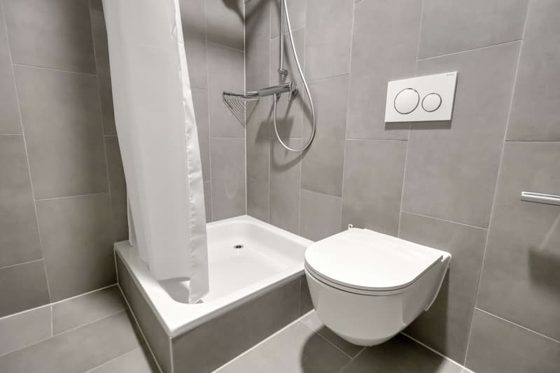 Coliving Alliant Intimité et Vie Partagée au Cœur de Renens (14)