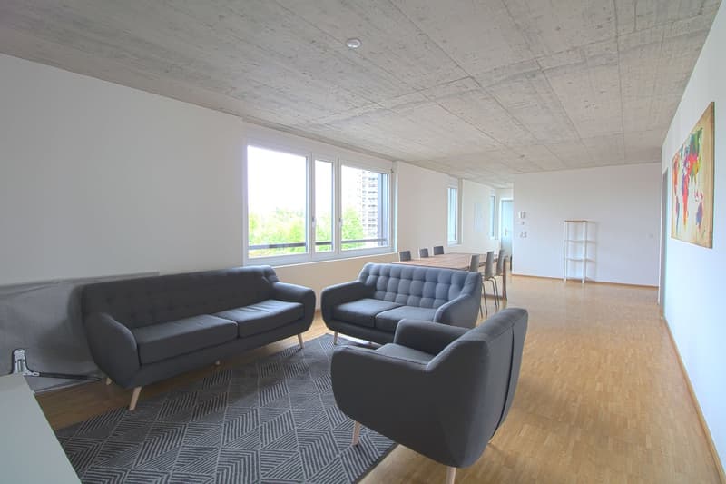 Möbliertes Zimmer in grosser 4er WG in Zürich-Dübendorf (5)