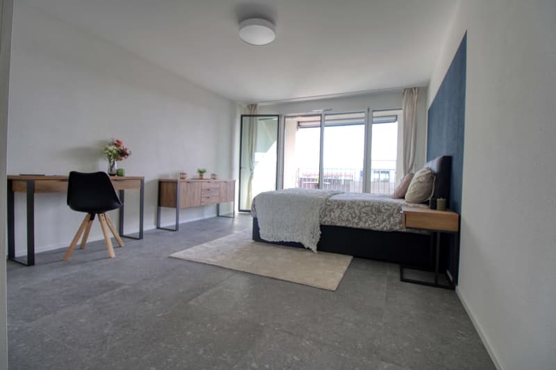 Appartement vivant spacieux à Crissier avec balcon privé (11)