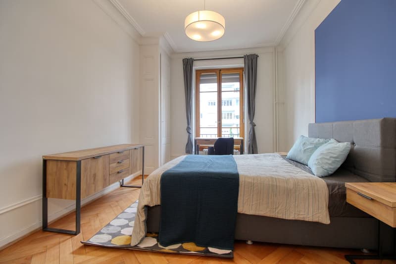 Magnifique appartement meublé en colocation, hypercentre de Genève (1)