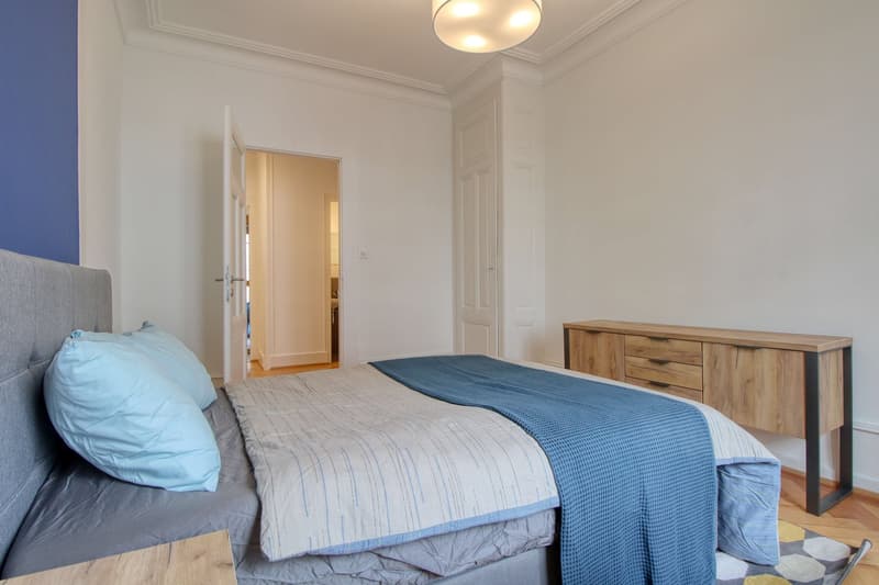 Magnifique appartement meublé en colocation, hypercentre de Genève (6)