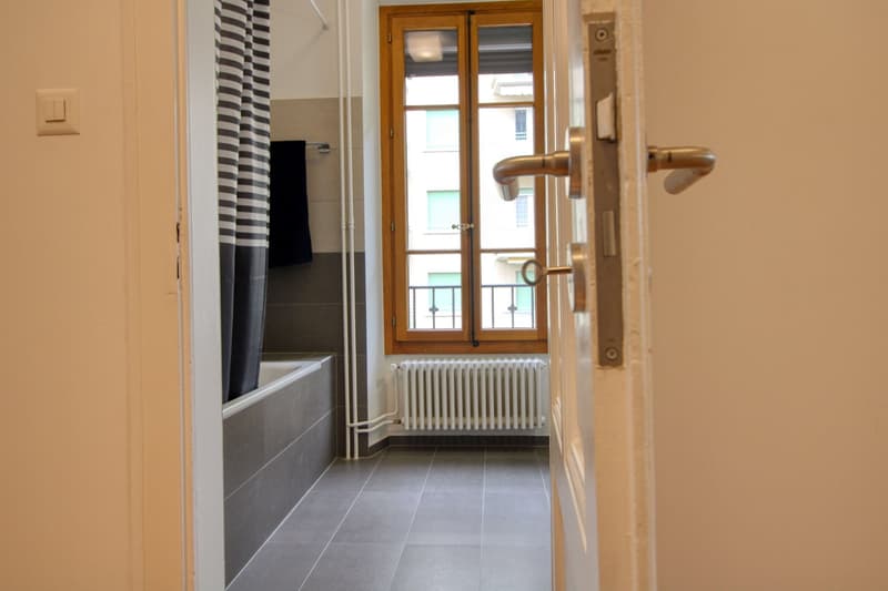 Magnifique appartement meublé en colocation, hypercentre de Genève (2)