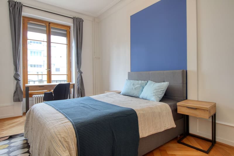 Magnifique appartement meublé en colocation, hypercentre de Genève (7)
