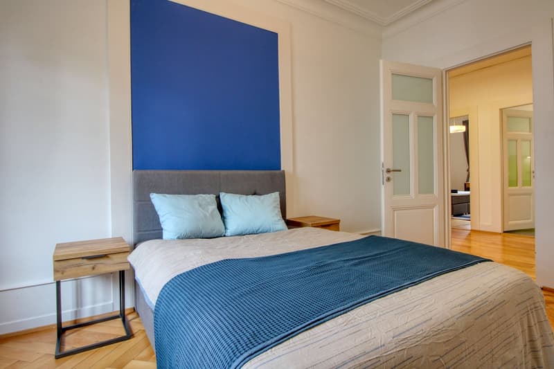 Magnifique appartement meublé en colocation, hypercentre de Genève (13)