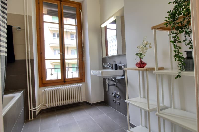 Magnifique appartement meublé en colocation, hypercentre de Genève (4)