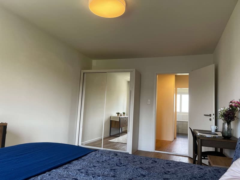Helle, renovierte Wohnung ideal für junge Berufstätige (8)