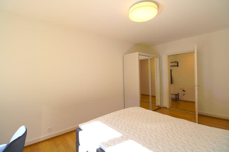 Furnished Single Room with Balcony in a Flatshare – Basel 4055 (4)