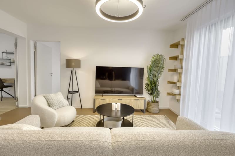 Coliving Alliant Intimité et Vie Partagée au Cœur de Renens (17)