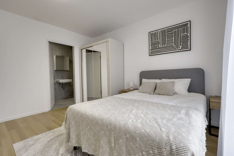 Coliving Alliant Intimité et Vie Partagée au Cœur de Renens (8)