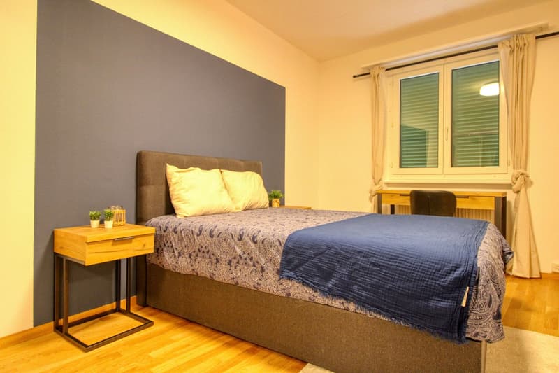 Un espace de coliving moderne dans le quartier vivant de Maupas à Lausanne (3)
