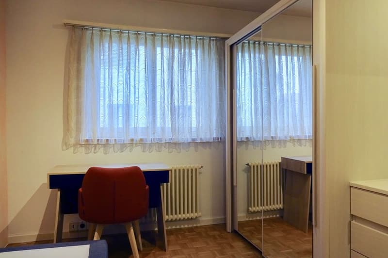 Cozy Single Room with Balcony in Münchwilen / Gemütliches Einzelzimmer mit Balkon in Münchwilen (3)