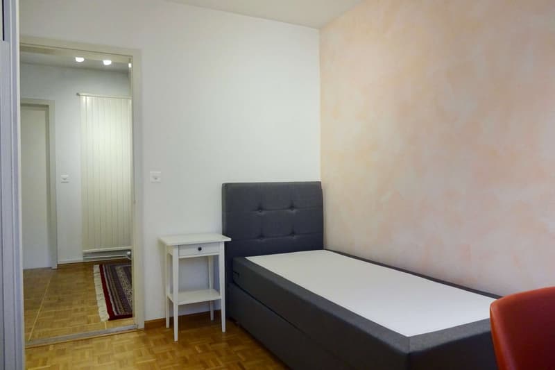 Cozy Single Room with Balcony in Münchwilen / Gemütliches Einzelzimmer mit Balkon in Münchwilen (1)