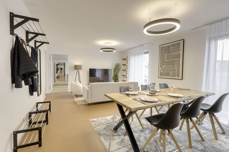 Coliving Alliant Intimité et Vie Partagée au Cœur de Renens (29)