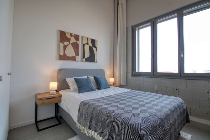 Coliving Moderne Alliant Intimité, Travail et Vie Partagée à Renens (7)