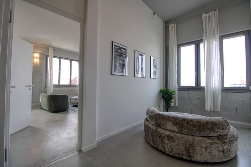 Coliving Moderne Alliant Intimité, Travail et Vie Partagée à Renens (27)
