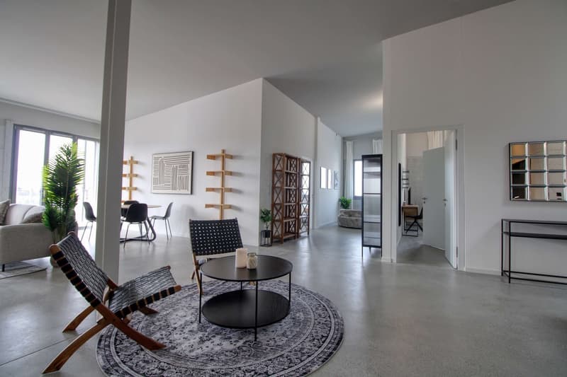 Coliving Moderne Alliant Intimité, Travail et Vie Partagée à Renens (22)