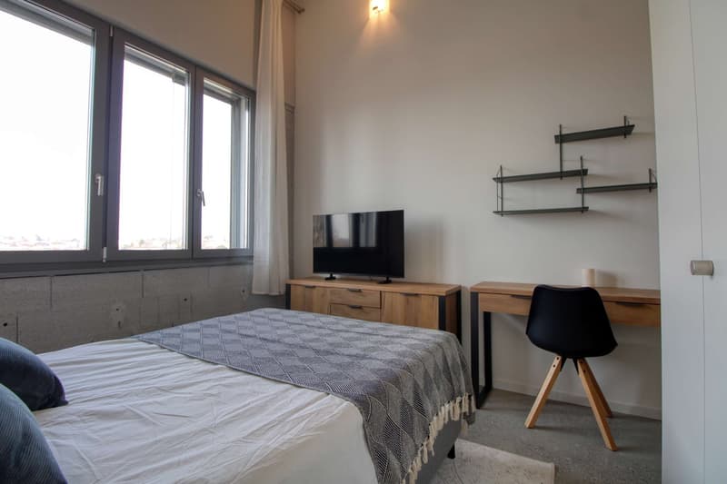 Coliving Moderne Alliant Intimité, Travail et Vie Partagée à Renens (2)