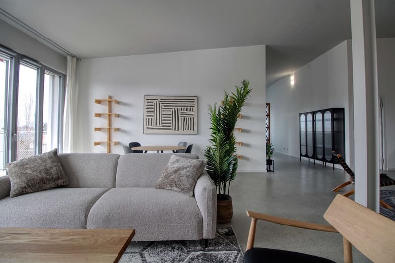 Coliving Moderne Alliant Intimité, Travail et Vie Partagée à Renens (33)
