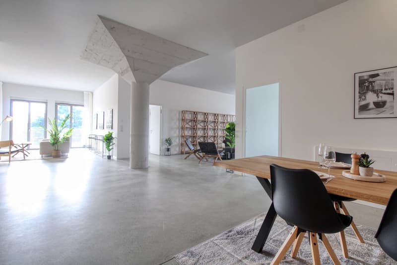 Coliving Moderne Alliant Intimité, Travail et Vie Partagée à Renens (20)
