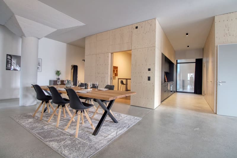 Coliving Moderne Alliant Intimité, Travail et Vie Partagée à Renens (18)