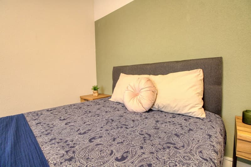 Vivez le coliving confortable au cœur de Lausanne (2)