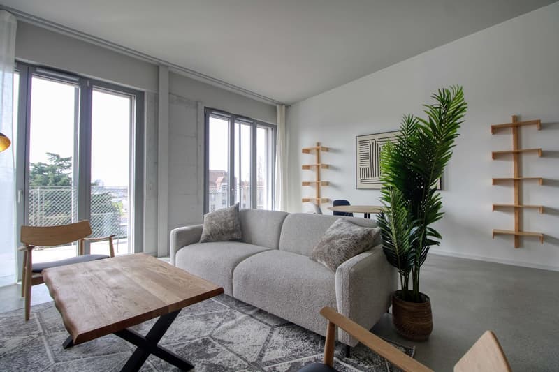 Coliving Moderne Alliant Intimité, Travail et Vie Partagée à Renens (31)