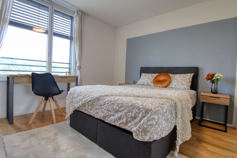 Appartement vivant spacieux à Crissier avec salle de bain privée en suite. (11)