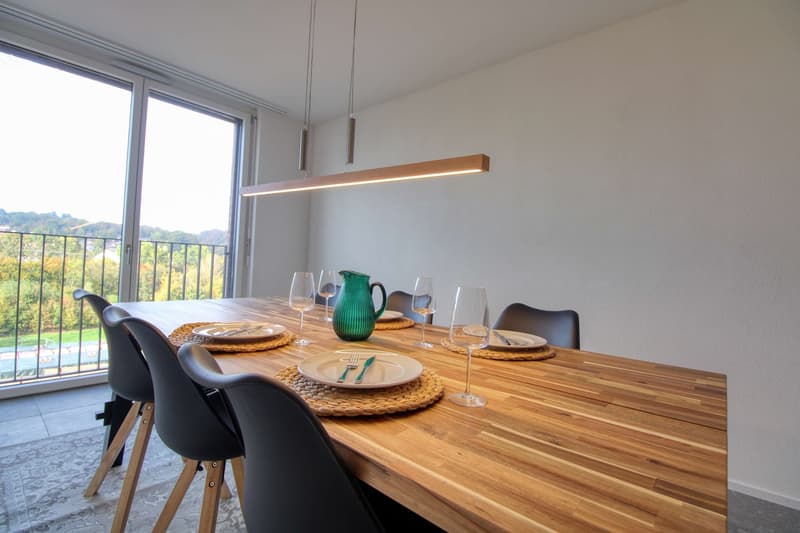 Appartement vivant spacieux à Crissier avec salle de bain privée en suite. (17)