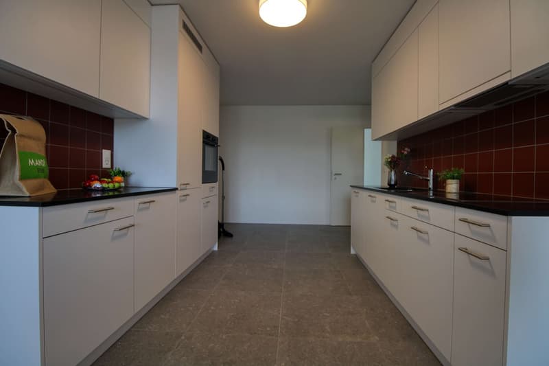 Appartement vivant spacieux à Crissier avec salle de bain privée en suite. (23)
