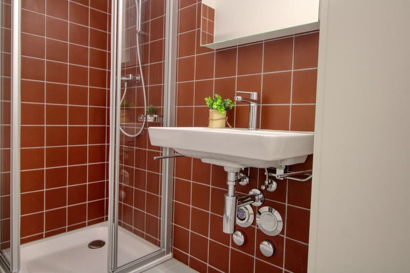 Appartement vivant spacieux à Crissier avec salle de bain privée en suite. (2)