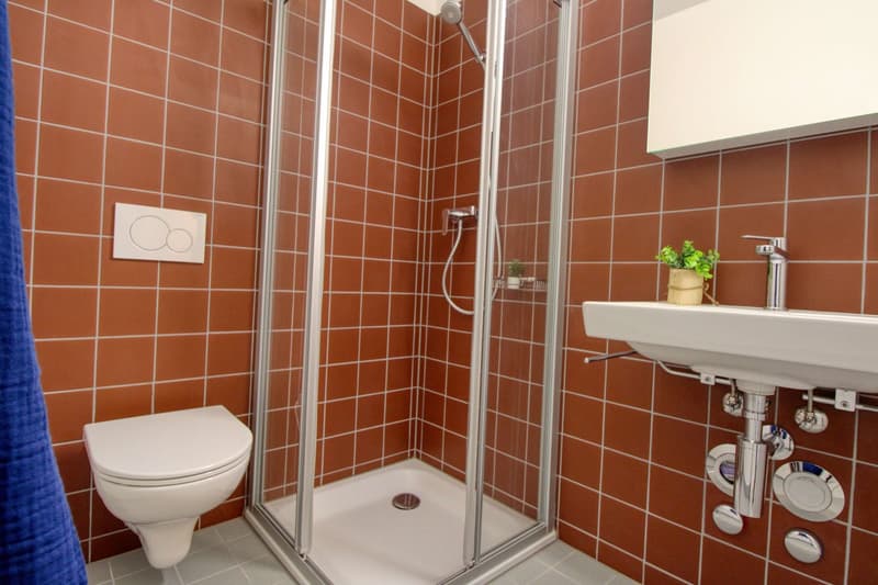 Appartement vivant spacieux à Crissier avec salle de bain privée en suite. (14)