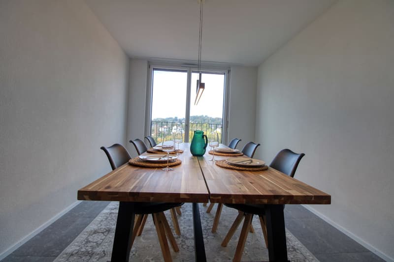 Appartement vivant spacieux à Crissier avec salle de bain privée en suite. (16)