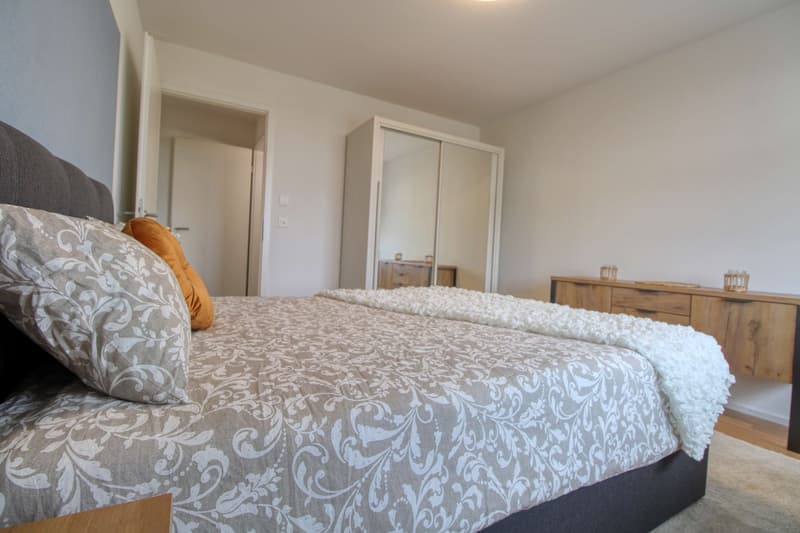 Appartement vivant spacieux à Crissier avec salle de bain privée en suite. (10)