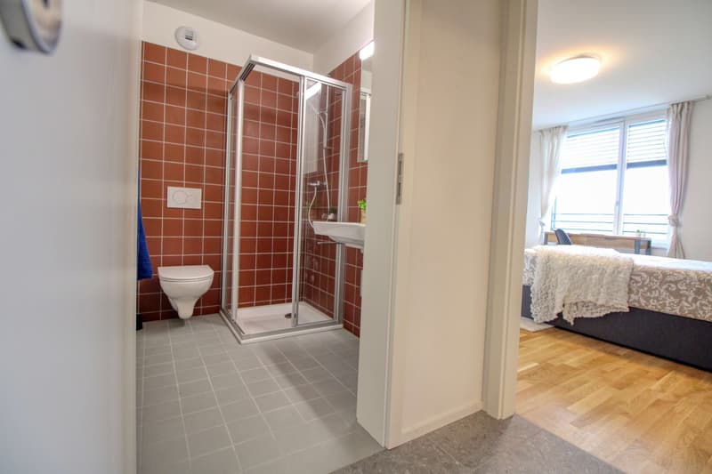 Appartement vivant spacieux à Crissier avec salle de bain privée en suite. (4)