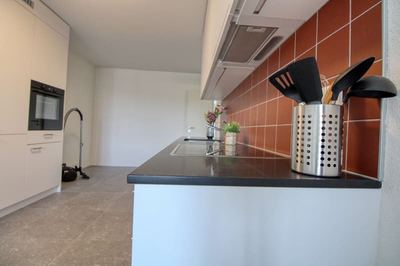 Appartement vivant spacieux à Crissier avec salle de bain privée en suite. (24)
