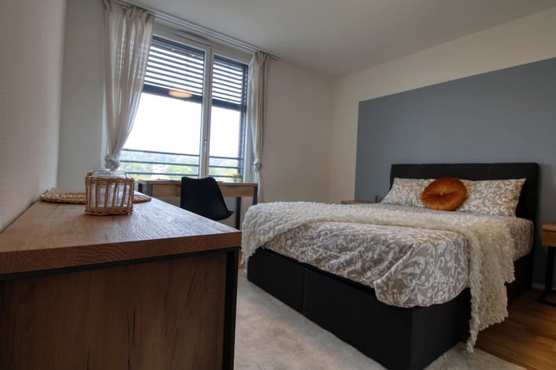 Appartement vivant spacieux à Crissier avec salle de bain privée en suite. (12)