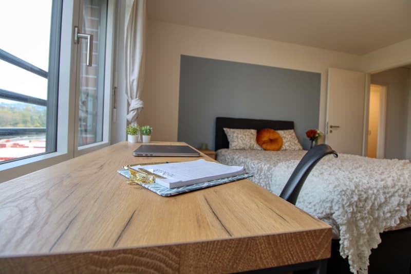 Appartement vivant spacieux à Crissier avec salle de bain privée en suite. (7)