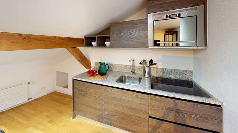 Studio in Schaffhausen (11)