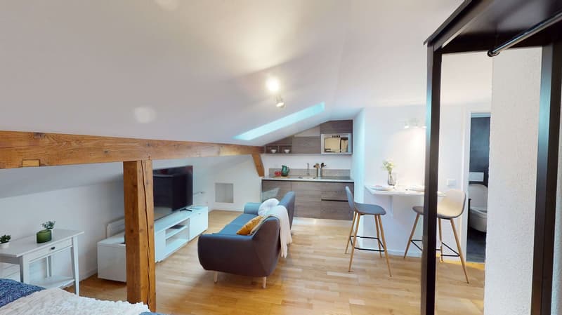 Studio in Schaffhausen (1)