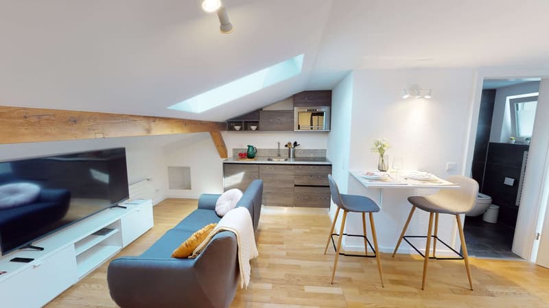 Studio in Schaffhausen (8)