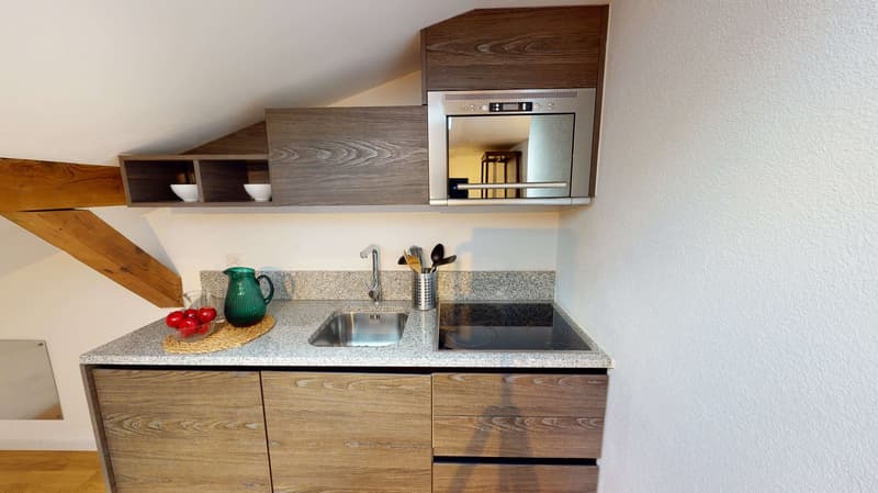Studio in Schaffhausen (3)