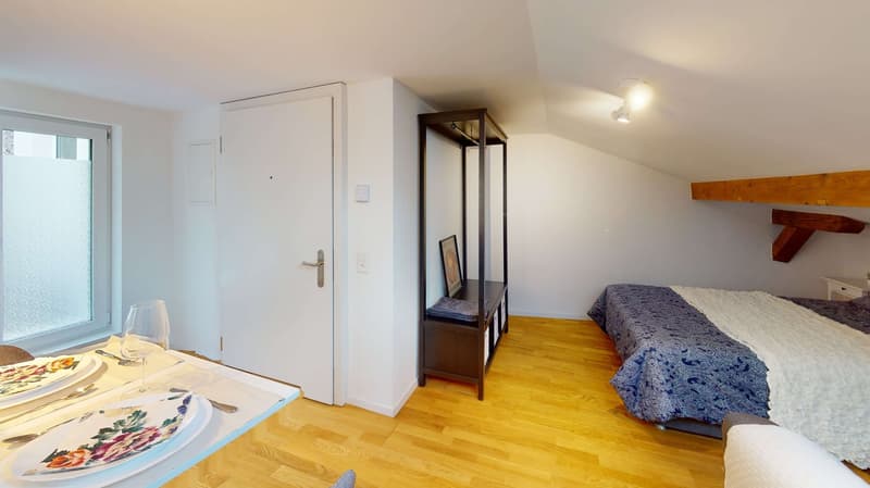Studio in Schaffhausen (10)