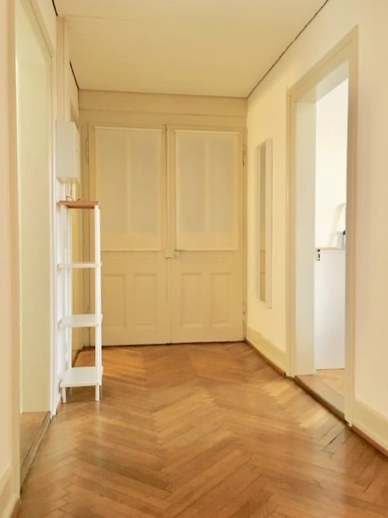 Möbliertes WG-Zimmer neben der Markthalle und dem Bahnhof Basel SBB (6)