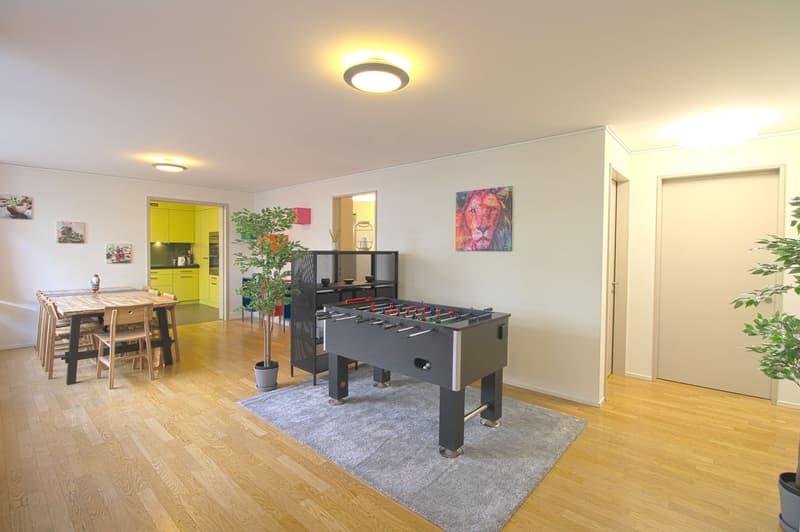 Stilvoll möbliertes Community Studio in Zürich Seebach (5)