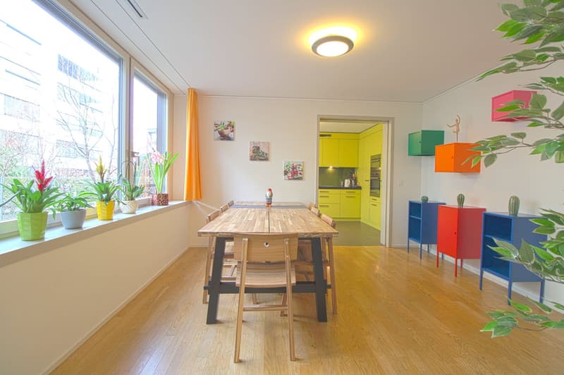 Stilvoll möbliertes Community Studio in Zürich Seebach (9)