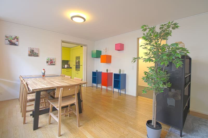 Stilvoll möbliertes Community Studio in Zürich Seebach (8)